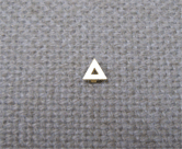 Provisional Chapter Brother Pin